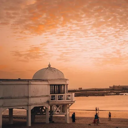 Camerino Del Falla Grupo Ac Gestion